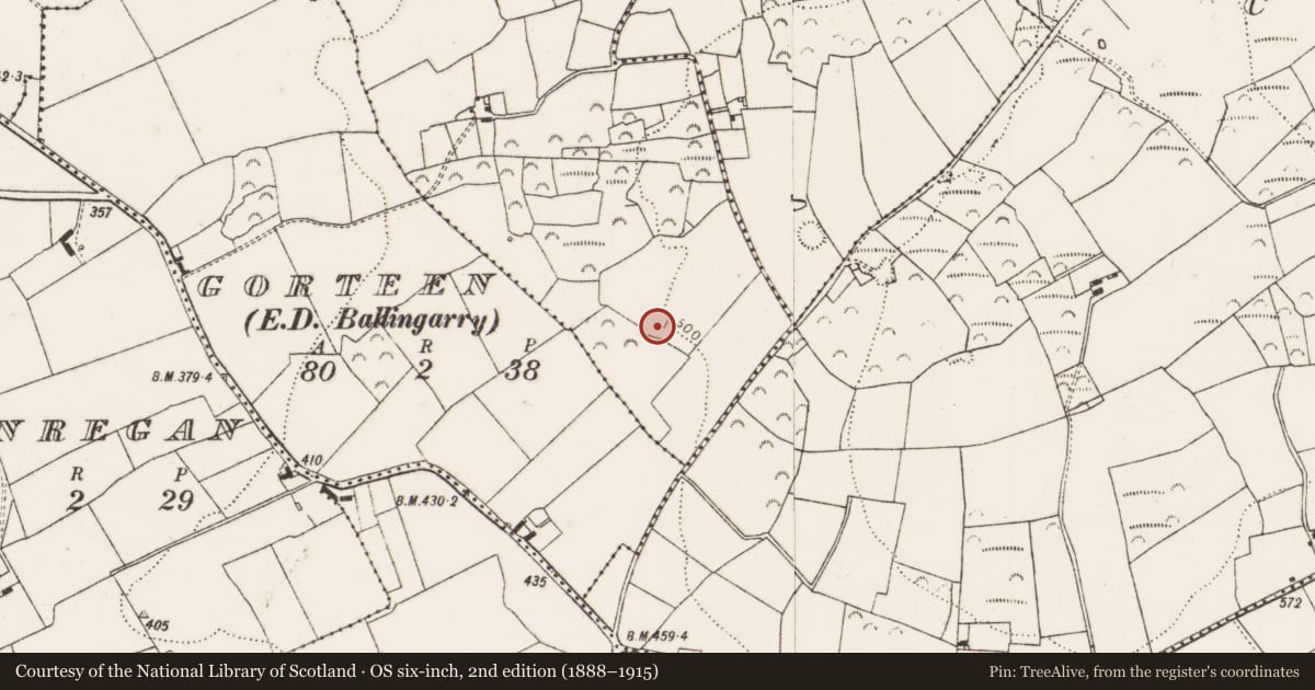 Ordnance Survey six-inch map, 2nd edition (1888–1915) covering the location of Moated site, Caherhenesy, County Limerick, with a pin at the register's coordinates