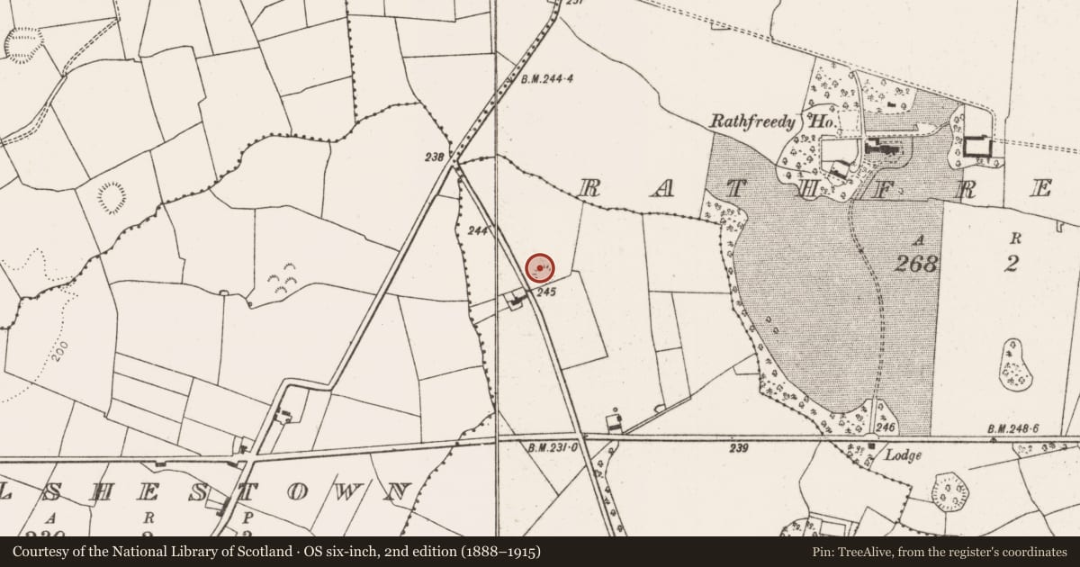 Ordnance Survey six-inch map, 2nd edition (1888–1915) covering the location of Ringfort - rath, Ballynakill More, County Limerick, with a pin at the register's coordinates