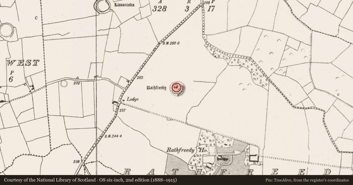 Ordnance Survey six-inch map, 2nd edition (1888–1915) covering the location of Ringfort - rath, Rathfreedy, County Limerick, with a pin at the register's coordinates
