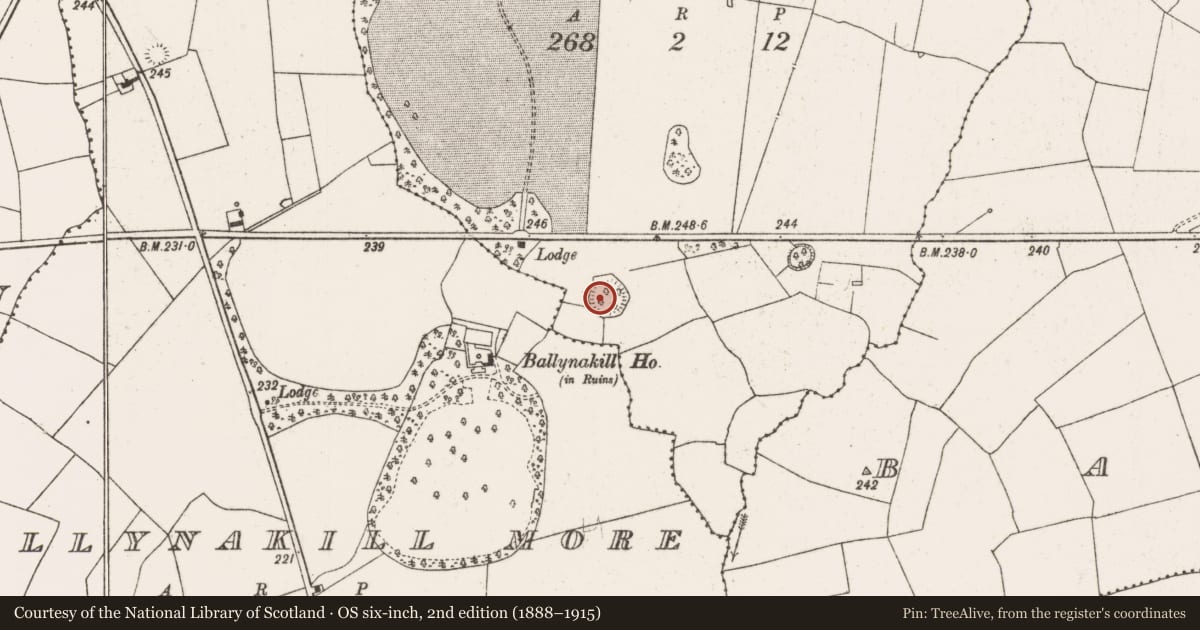 Ordnance Survey six-inch map, 2nd edition (1888–1915) covering the location of Ringfort - rath, Rathfreedy, County Limerick, with a pin at the register's coordinates