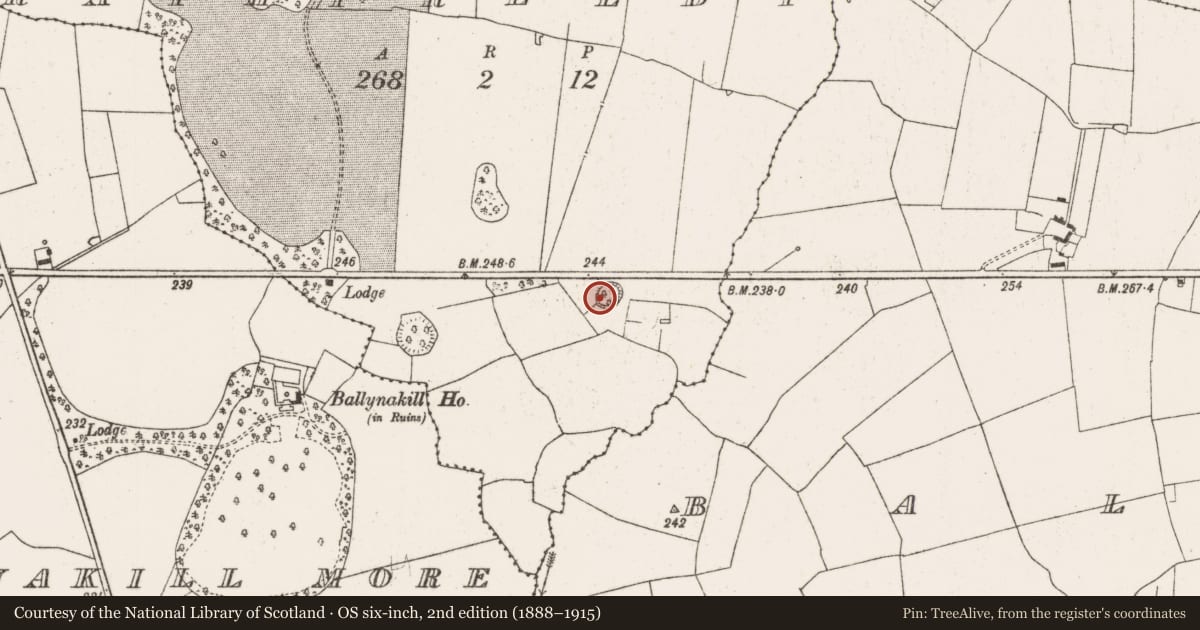 Ordnance Survey six-inch map, 2nd edition (1888–1915) covering the location of Ringfort - rath, Rathfreedy, County Limerick, with a pin at the register's coordinates