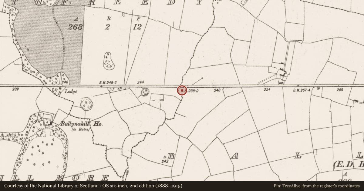 Ordnance Survey six-inch map, 2nd edition (1888–1915) covering the location of Ringfort - rath, Ballynoe, County Limerick, with a pin at the register's coordinates