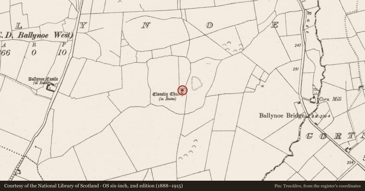 Ordnance Survey six-inch map, 2nd edition (1888–1915) covering the location of Church, Ballynoe, County Limerick, with a pin at the register's coordinates