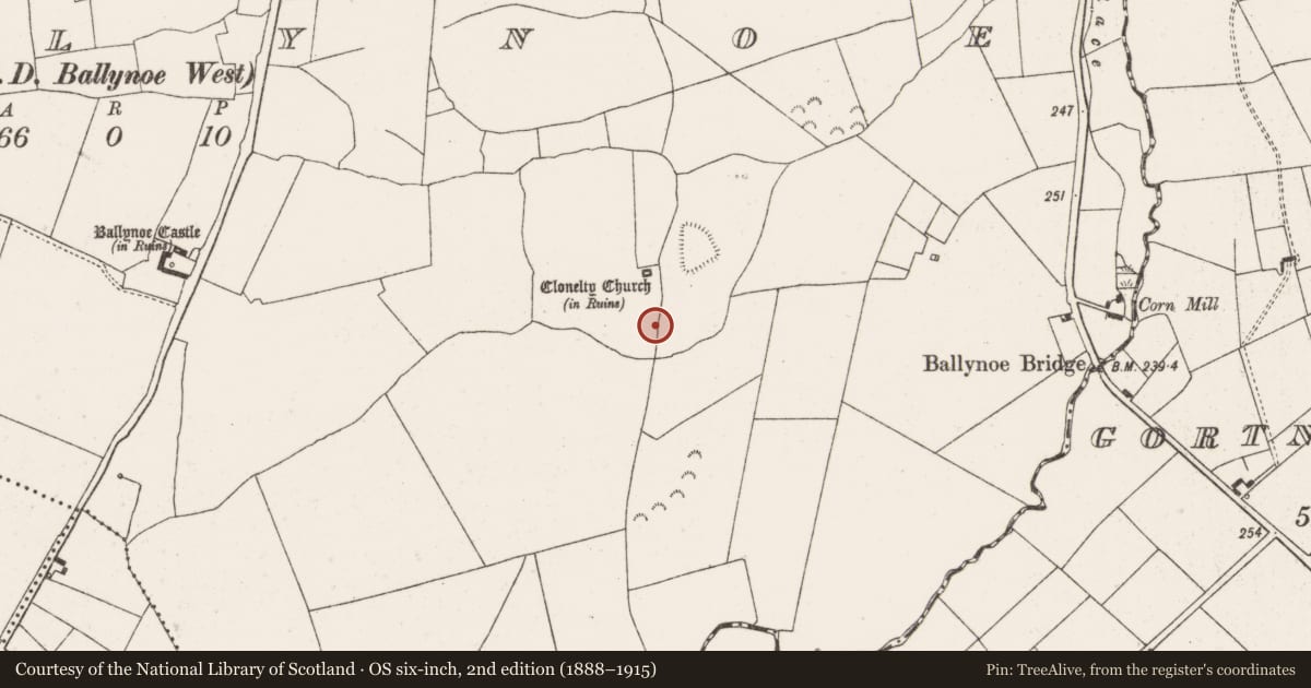 Ordnance Survey six-inch map, 2nd edition (1888–1915) covering the location of Ecclesiastical enclosure, Ballynoe, County Limerick, with a pin at the register's coordinates