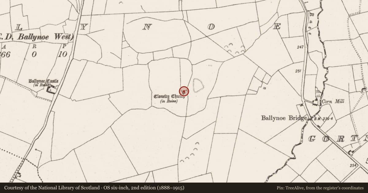 Ordnance Survey six-inch map, 2nd edition (1888–1915) covering the location of Ogham stone, Ballynoe, County Limerick, with a pin at the register's coordinates
