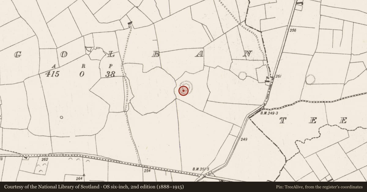 Ordnance Survey six-inch map, 2nd edition (1888–1915) covering the location of Ringfort - rath, Kilgolban, County Limerick, with a pin at the register's coordinates