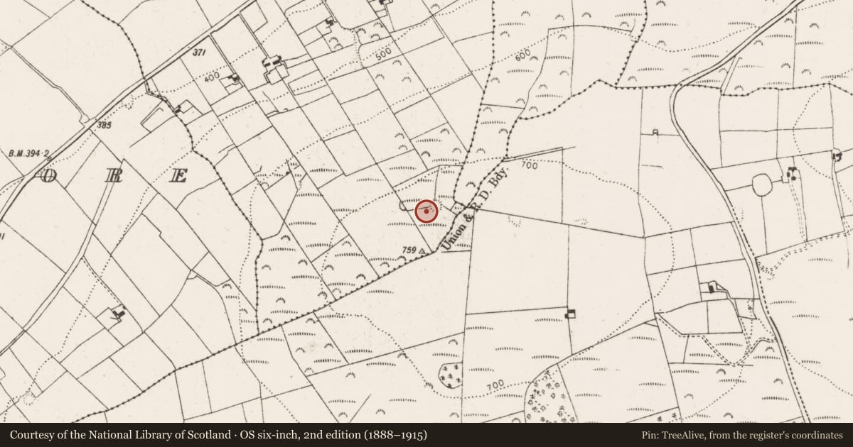 Ordnance Survey six-inch map, 2nd edition (1888–1915) covering the location of Ringfort - rath, Ballyhahil, County Limerick, with a pin at the register's coordinates
