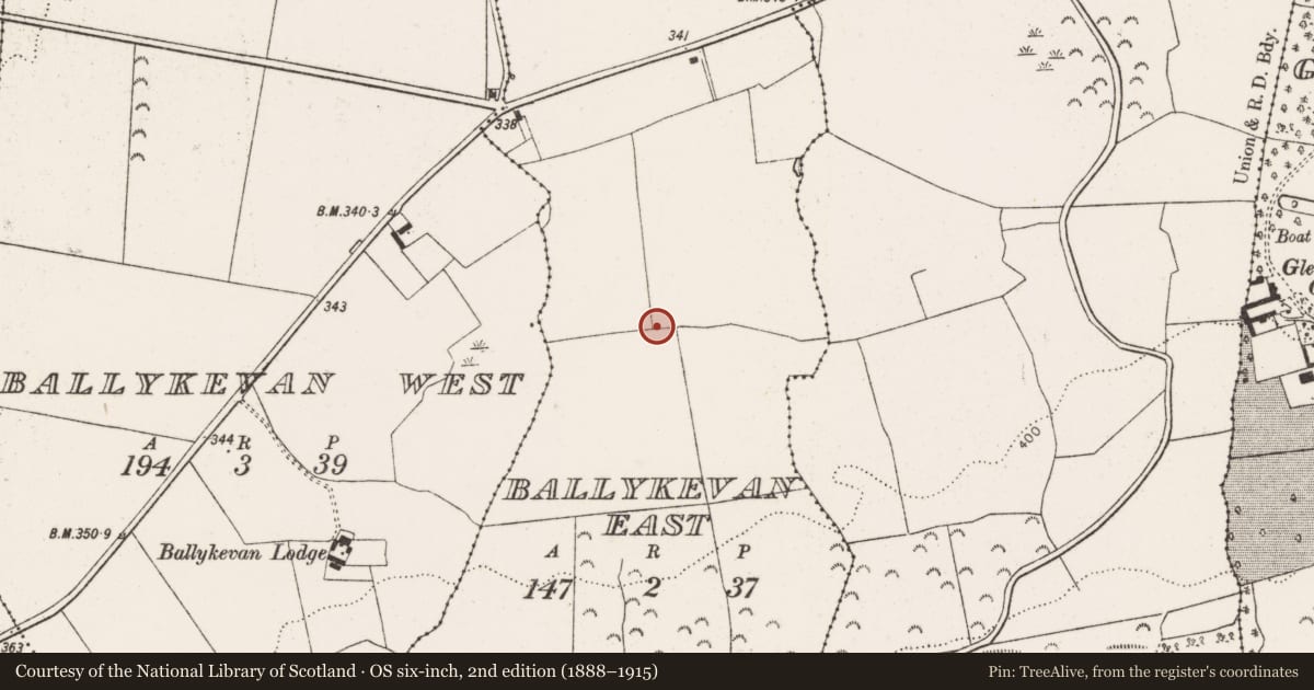 Ordnance Survey six-inch map, 2nd edition (1888–1915) covering the location of Mound, Ballykevan East, County Limerick, with a pin at the register's coordinates