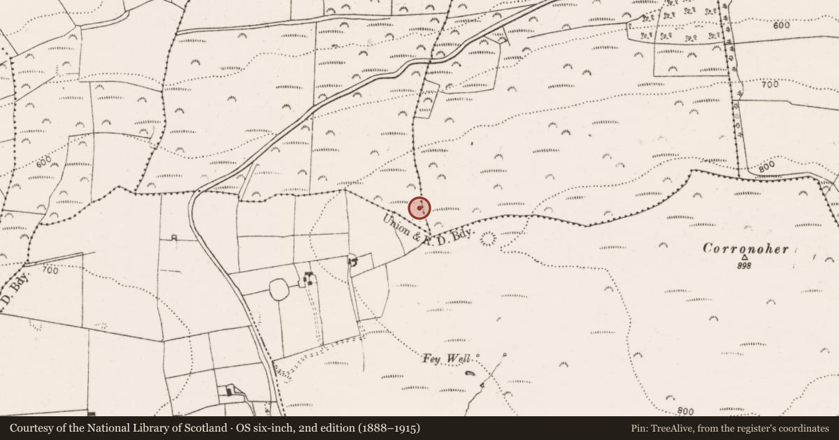 Ordnance Survey six-inch map, 2nd edition (1888–1915) covering the location of Ringfort - rath, Frankfort, County Limerick, with a pin at the register's coordinates