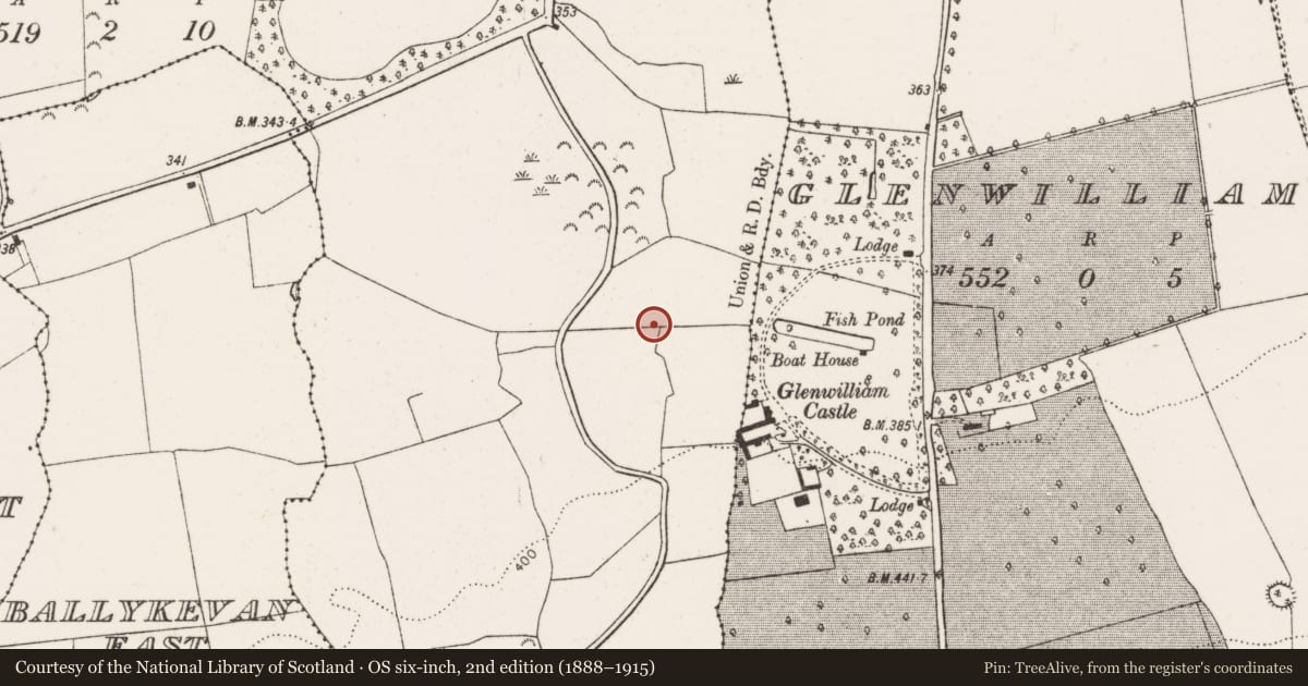 Ordnance Survey six-inch map, 2nd edition (1888–1915) covering the location of Cist, Frankfort, County Limerick, with a pin at the register's coordinates