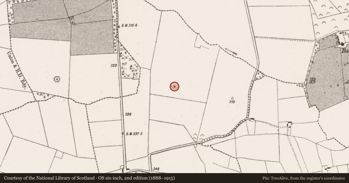 Ordnance Survey six-inch map, 2nd edition (1888–1915) covering the location of Ringfort - rath, Glenwilliam, County Limerick, with a pin at the register's coordinates