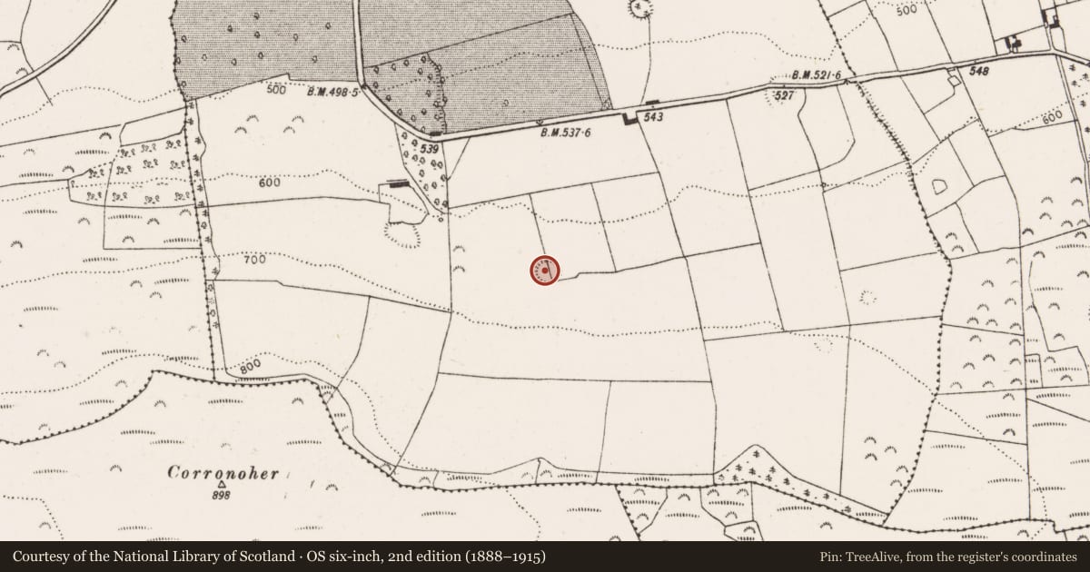 Ordnance Survey six-inch map, 2nd edition (1888–1915) covering the location of Ringfort - rath, Glenwilliam, County Limerick, with a pin at the register's coordinates