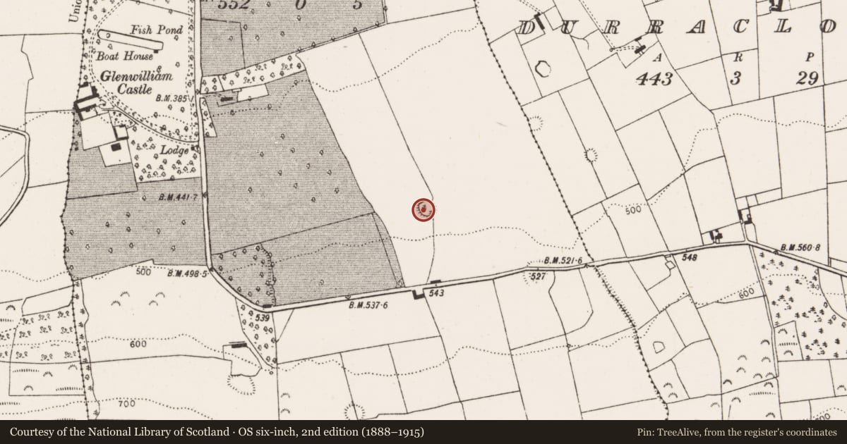 Ordnance Survey six-inch map, 2nd edition (1888–1915) covering the location of Ringfort - rath, Glenwilliam, County Limerick, with a pin at the register's coordinates