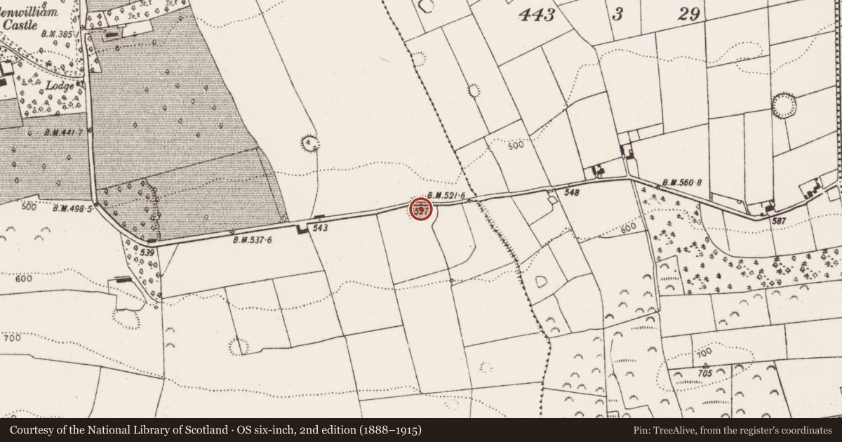 Ordnance Survey six-inch map, 2nd edition (1888–1915) covering the location of Ringfort - rath, Glenwilliam, County Limerick, with a pin at the register's coordinates