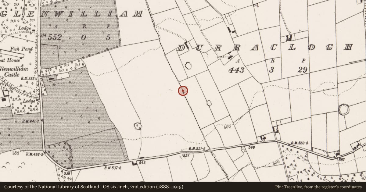 Ordnance Survey six-inch map, 2nd edition (1888–1915) covering the location of Ringfort - rath, Durraclogh, County Limerick, with a pin at the register's coordinates