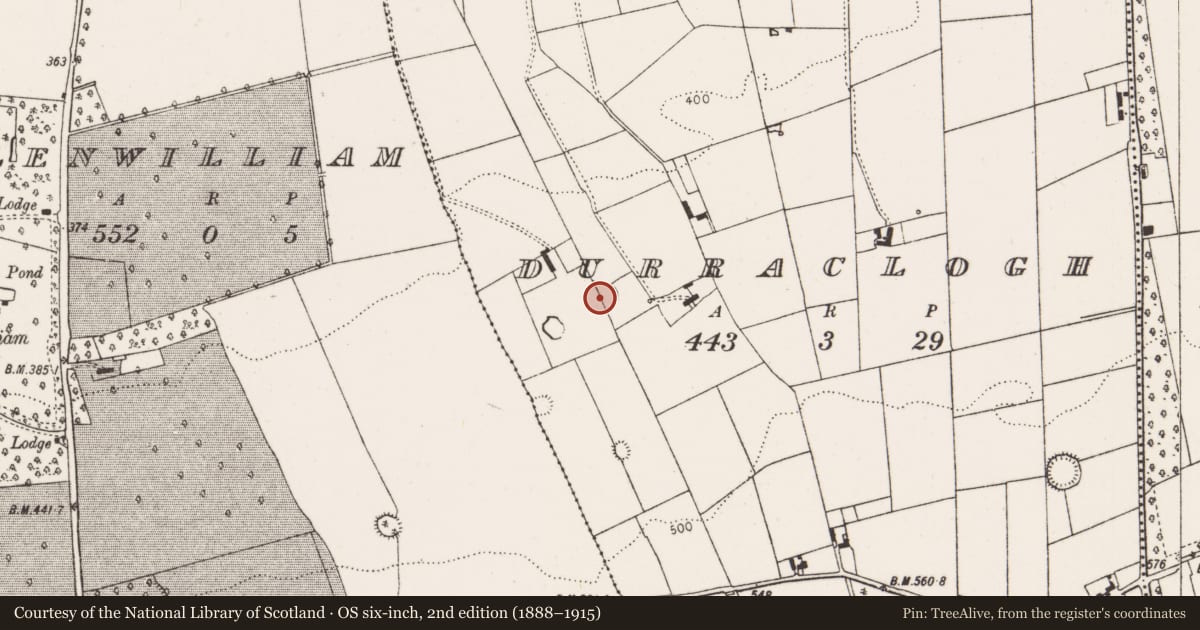 Ordnance Survey six-inch map, 2nd edition (1888–1915) covering the location of Ringfort - rath, Durraclogh, County Limerick, with a pin at the register's coordinates
