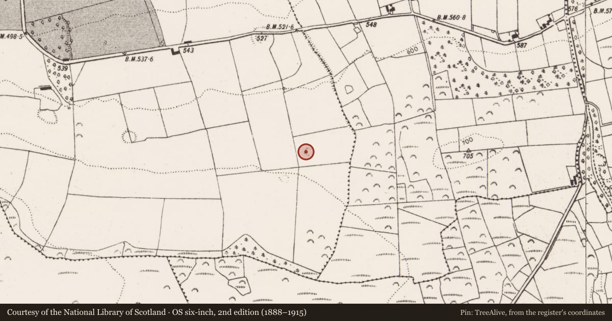 Ordnance Survey six-inch map, 2nd edition (1888–1915) covering the location of Ringfort - rath, Glenwilliam, County Limerick, with a pin at the register's coordinates