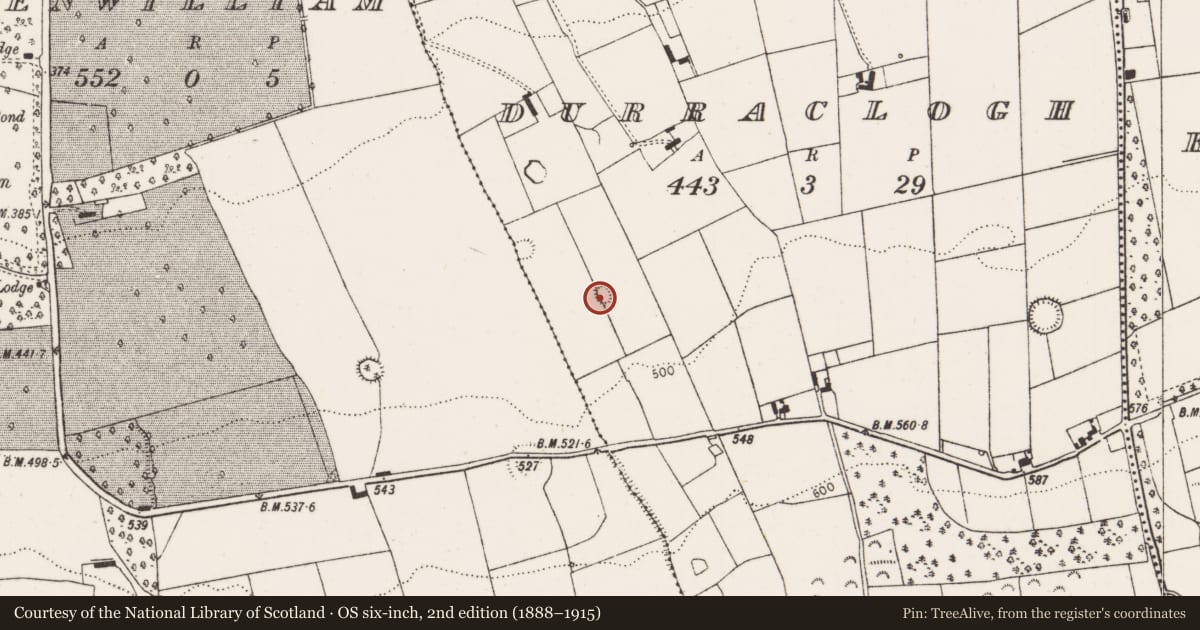 Ordnance Survey six-inch map, 2nd edition (1888–1915) covering the location of Ringfort - rath, Durraclogh, County Limerick, with a pin at the register's coordinates
