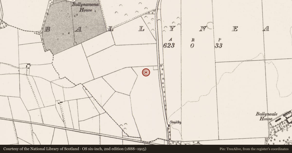 Ordnance Survey six-inch map, 2nd edition (1888–1915) covering the location of Ringfort - rath, Ballyneale, County Limerick, with a pin at the register's coordinates