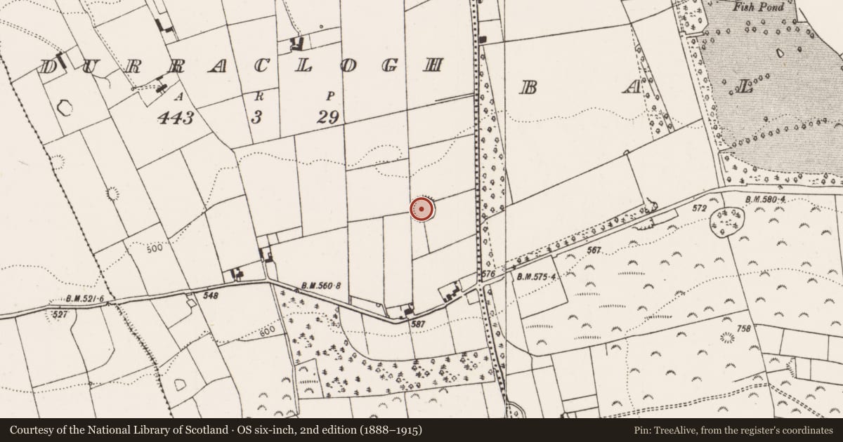 Ordnance Survey six-inch map, 2nd edition (1888–1915) covering the location of Ringfort - rath, Durraclogh, County Limerick, with a pin at the register's coordinates