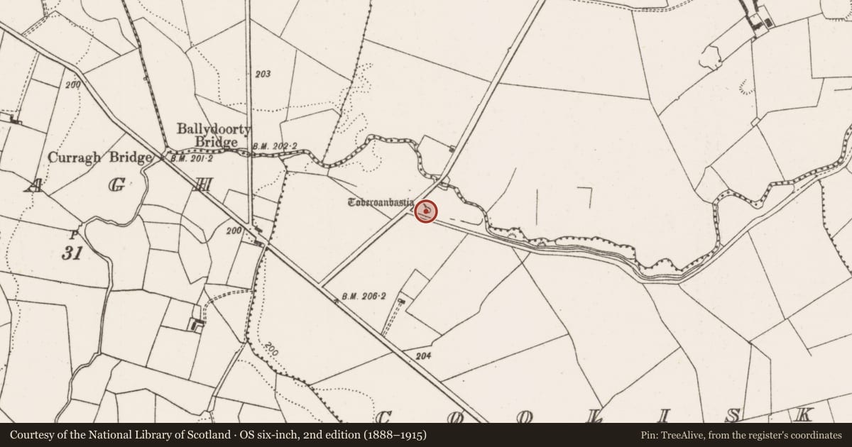 Ordnance Survey six-inch map, 2nd edition (1888–1915) covering the location of Ritual site - holy well, Cooliska, County Limerick, with a pin at the register's coordinates
