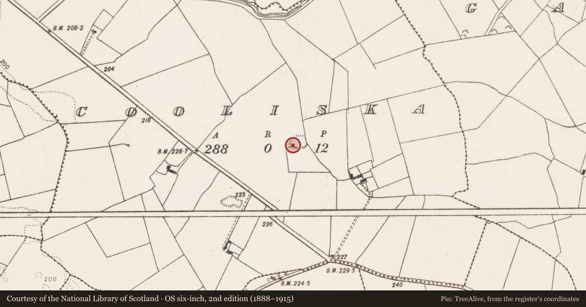Ordnance Survey six-inch map, 2nd edition (1888–1915) covering the location of Moated site, Cooliska, County Limerick, with a pin at the register's coordinates