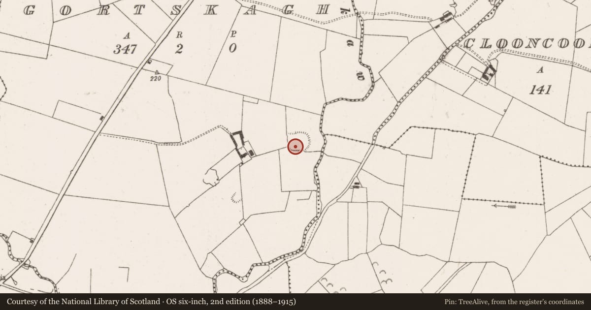 Ordnance Survey six-inch map, 2nd edition (1888–1915) covering the location of Ringfort - rath, Gortskagh, County Limerick, with a pin at the register's coordinates
