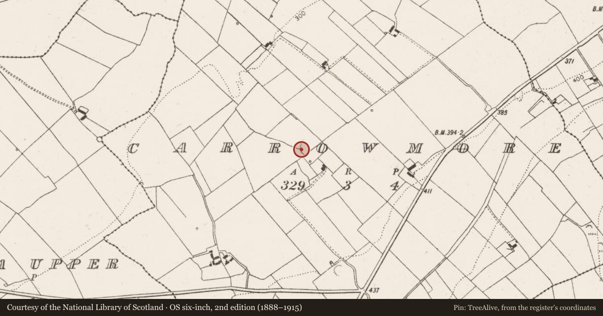 Ordnance Survey six-inch map, 2nd edition (1888–1915) covering the location of Enclosure, Carrowmore, County Limerick, with a pin at the register's coordinates