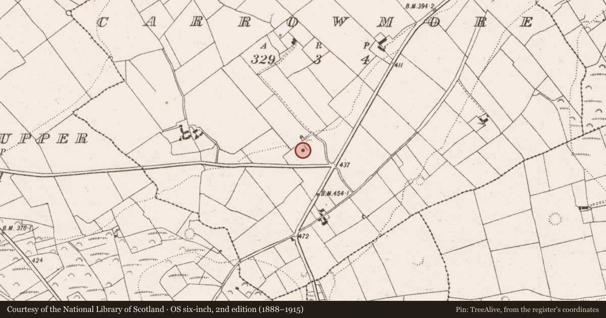 Ordnance Survey six-inch map, 2nd edition (1888–1915) covering the location of Ringfort - rath, Carrowmore, County Limerick, with a pin at the register's coordinates