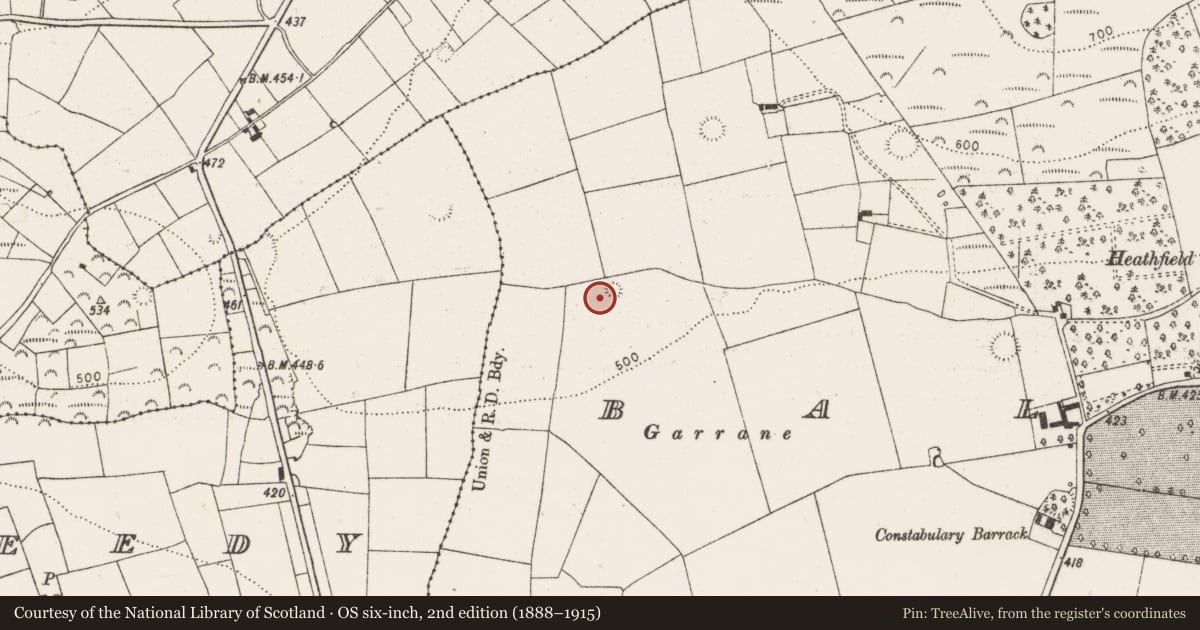 Ordnance Survey six-inch map, 2nd edition (1888–1915) covering the location of Ringfort - rath, Ballinruane, County Limerick, with a pin at the register's coordinates