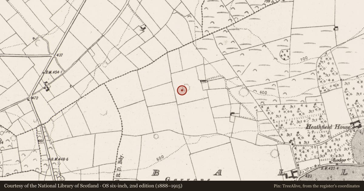 Ordnance Survey six-inch map, 2nd edition (1888–1915) covering the location of Ringfort - rath, Ballinruane, County Limerick, with a pin at the register's coordinates