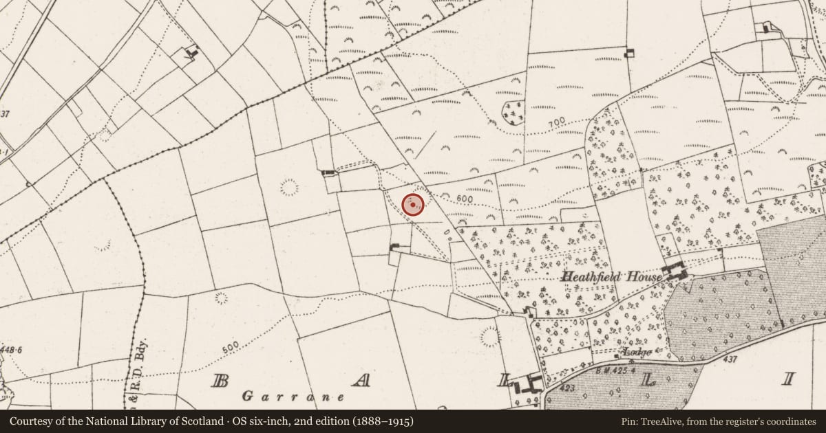 Ordnance Survey six-inch map, 2nd edition (1888–1915) covering the location of Ringfort - rath, Ballinruane, County Limerick, with a pin at the register's coordinates