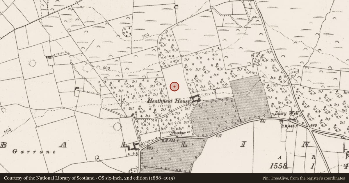 Ordnance Survey six-inch map, 2nd edition (1888–1915) covering the location of Designed landscape - tree-ring, Ballinruane, County Limerick, with a pin at the register's coordinates