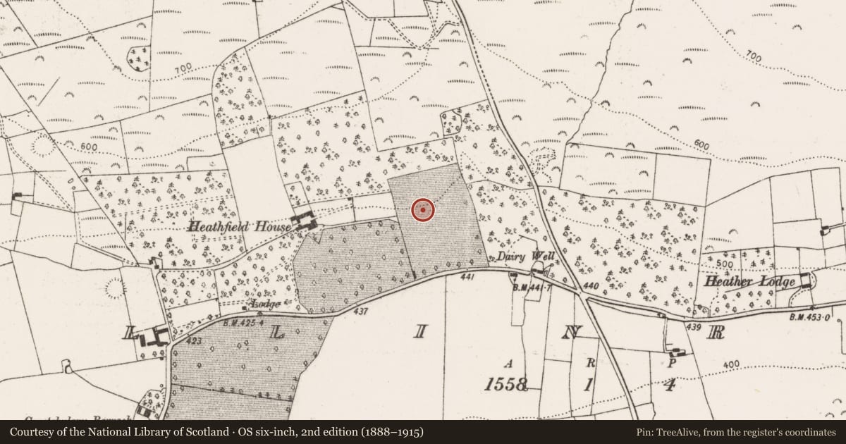 Ordnance Survey six-inch map, 2nd edition (1888–1915) covering the location of Designed landscape - tree-ring, Ballinruane, County Limerick, with a pin at the register's coordinates