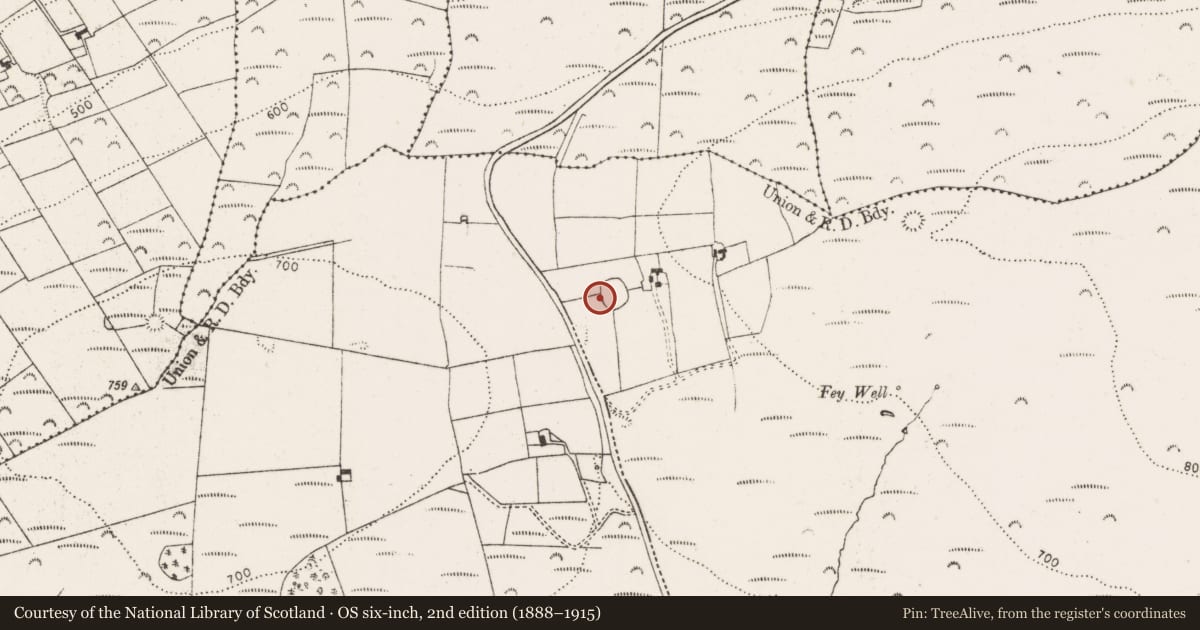 Ordnance Survey six-inch map, 2nd edition (1888–1915) covering the location of Ringfort - rath, Ballinruane, County Limerick, with a pin at the register's coordinates