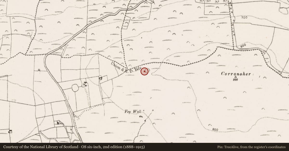 Ordnance Survey six-inch map, 2nd edition (1888–1915) covering the location of Ringfort - rath, Ballinruane, County Limerick, with a pin at the register's coordinates