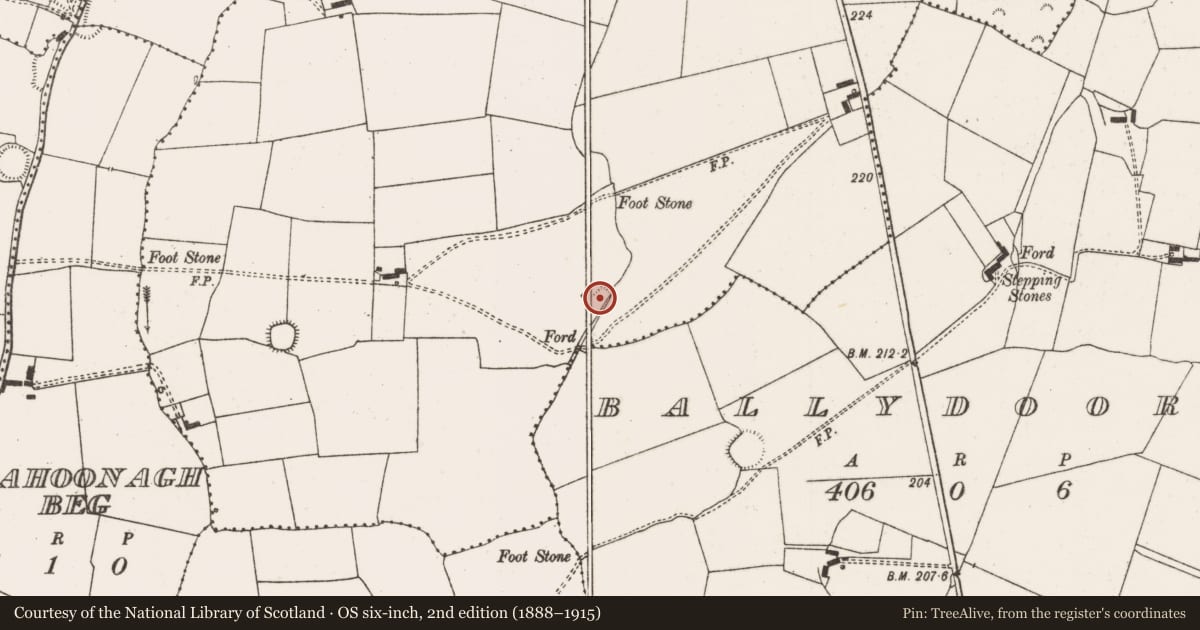 Ordnance Survey six-inch map, 2nd edition (1888–1915) covering the location of Ringfort - rath, Ballynakillmore, County Limerick, with a pin at the register's coordinates