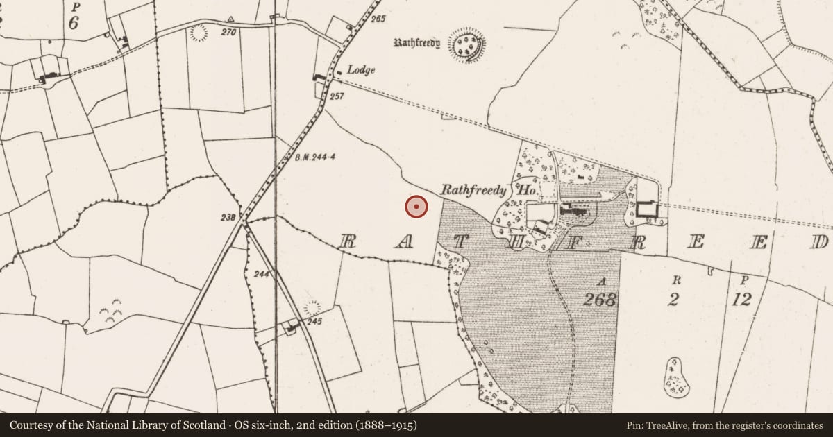 Ordnance Survey six-inch map, 2nd edition (1888–1915) covering the location of Moated site, Rathfreedy, County Limerick, with a pin at the register's coordinates