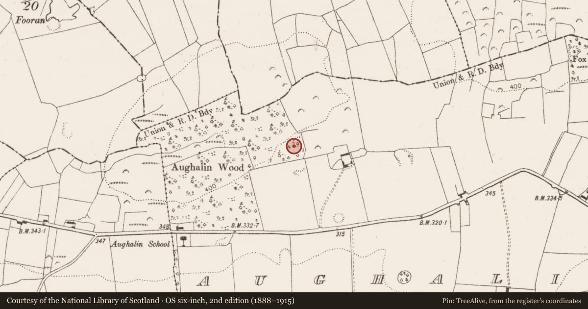 Ordnance Survey six-inch map, 2nd edition (1888–1915) covering the location of Ringfort - rath, Aughalin, County Limerick, with a pin at the register's coordinates