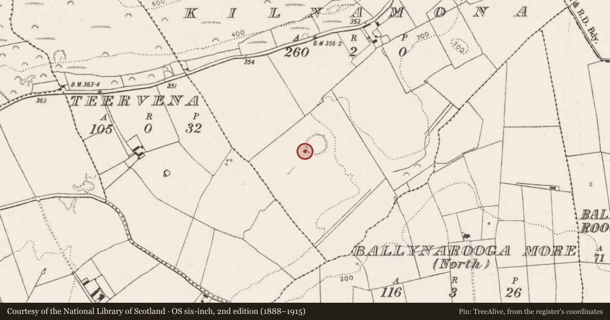 Ordnance Survey six-inch map, 2nd edition (1888–1915) covering the location of Fulacht fia, Kilnamona, County Limerick, with a pin at the register's coordinates