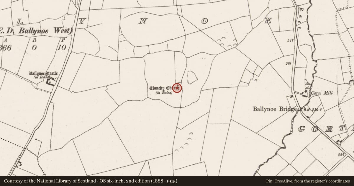 Ordnance Survey six-inch map, 2nd edition (1888–1915) covering the location of Graveyard, Ballynoe, County Limerick, with a pin at the register's coordinates