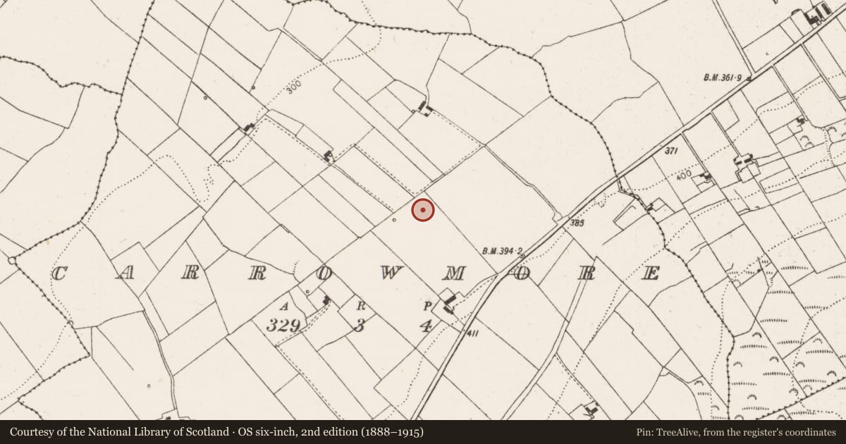 Ordnance Survey six-inch map, 2nd edition (1888–1915) covering the location of Standing stone, Carrowmore, County Limerick, with a pin at the register's coordinates