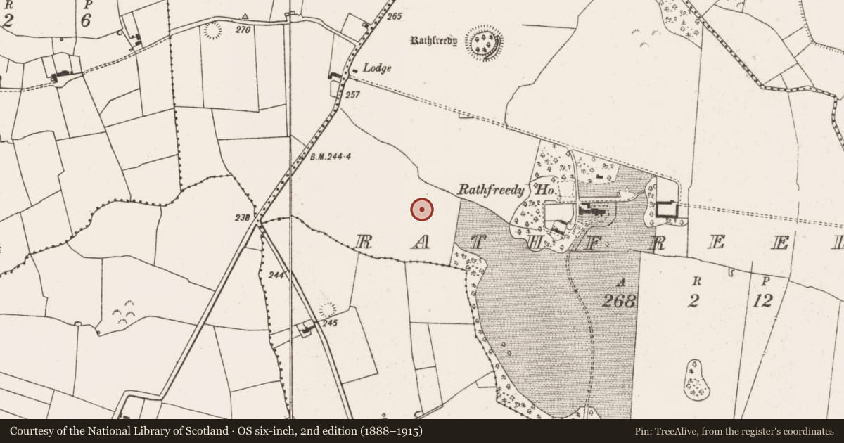 Ordnance Survey six-inch map, 2nd edition (1888–1915) covering the location of Fulacht fia, Rathfreedy, County Limerick, with a pin at the register's coordinates