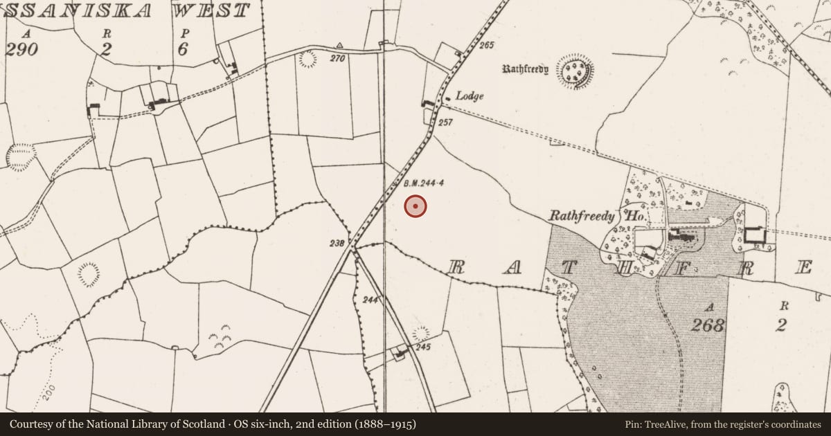 Ordnance Survey six-inch map, 2nd edition (1888–1915) covering the location of Fulacht fia, Rathfreedy, County Limerick, with a pin at the register's coordinates