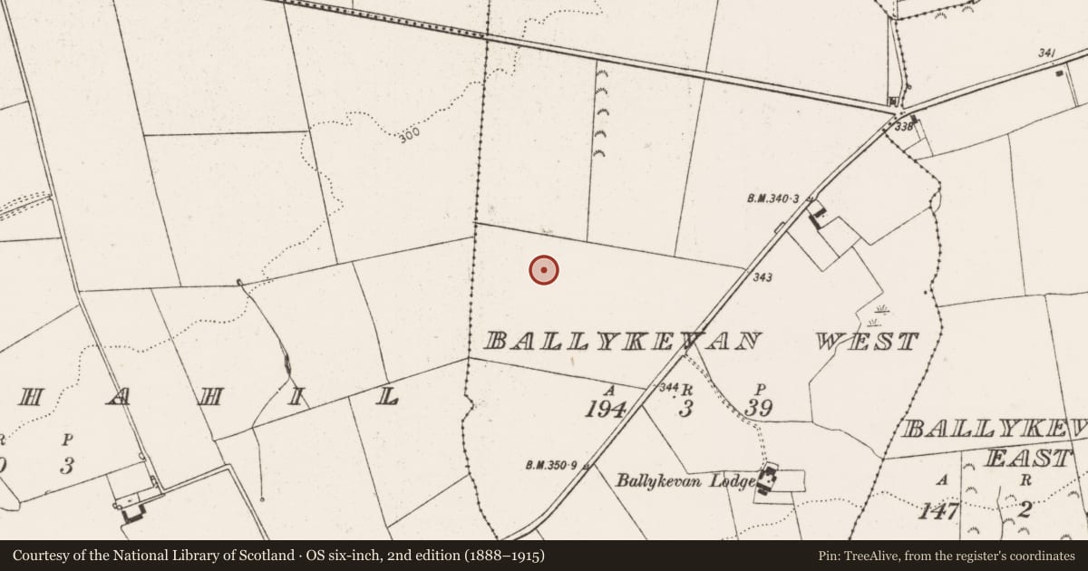 Ordnance Survey six-inch map, 2nd edition (1888–1915) covering the location of Barrow - unclassified, Ballykevan West, County Limerick, with a pin at the register's coordinates
