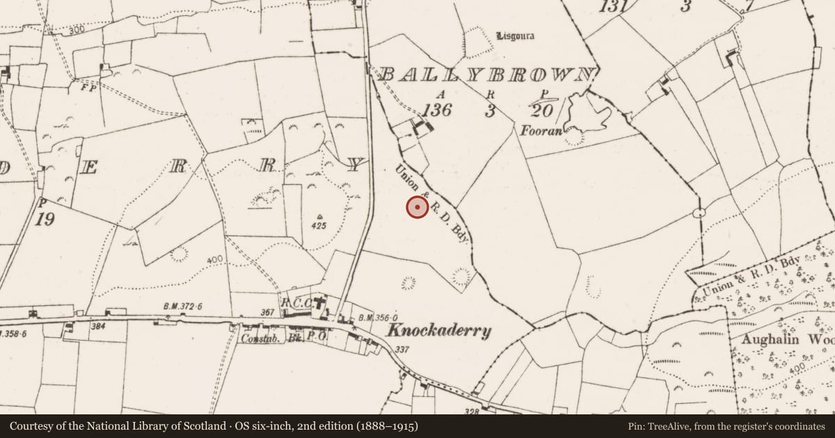 Ordnance Survey six-inch map, 2nd edition (1888–1915) covering the location of Flat cemetery, Knockaderry, County Limerick, with a pin at the register's coordinates