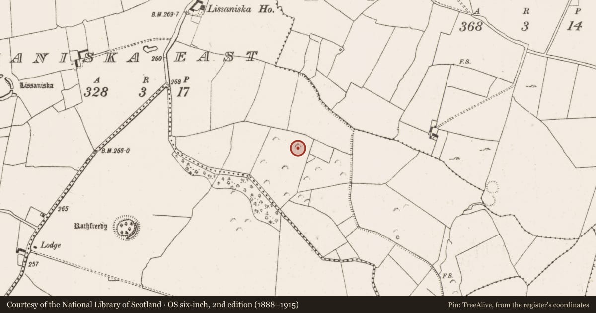 Ordnance Survey six-inch map, 2nd edition (1888–1915) covering the location of Enclosure - large enclosure, Lissaniska East, County Limerick, with a pin at the register's coordinates