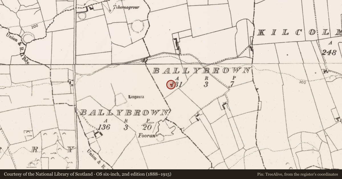 Ordnance Survey six-inch map, 2nd edition (1888–1915) covering the location of Anomalous stone group, Ballybrown, County Limerick, with a pin at the register's coordinates
