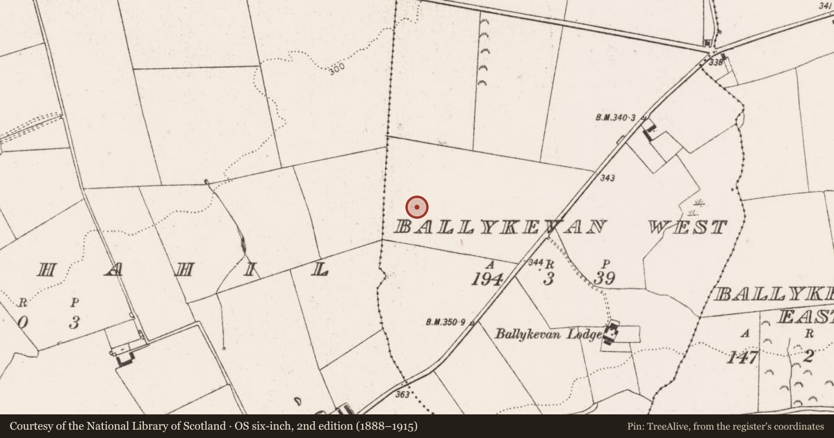 Ordnance Survey six-inch map, 2nd edition (1888–1915) covering the location of Barrow - ditch barrow, Ballykevan West, County Limerick, with a pin at the register's coordinates