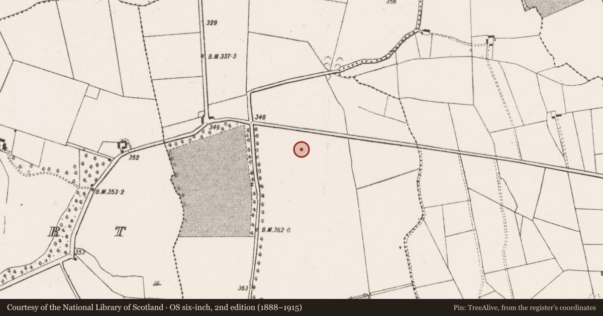 Ordnance Survey six-inch map, 2nd edition (1888–1915) covering the location of Earthwork, Glenwilliam, County Limerick, with a pin at the register's coordinates